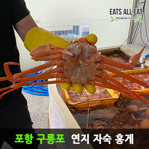 이츠올릿 구룡포 박달 연지 자숙 홍게 3kg 포항 속초 홍개 주문진 영덕 대게