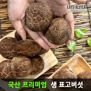 이츠올릿 국내산 무농약 생 표고버섯 2kg(상)   자연산 건 표고 버섯 송이