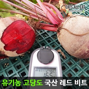 이츠올릿 국내산 무농약 햇 레드 비트 5kg 산지직송 비트 주스 용 비트즙 제주